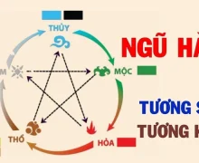 Cách đặt tủ sấy chén trong bếp theo phong thủy có hiệu quả