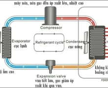 Công nghệ sấy lạnh thực phẩm là gì? Cách bảo quản thực phẩm bằng sấy lạnh