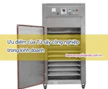 Tiết lộ ưu điểm của tủ sấy công nghiệp trong kinh doanh